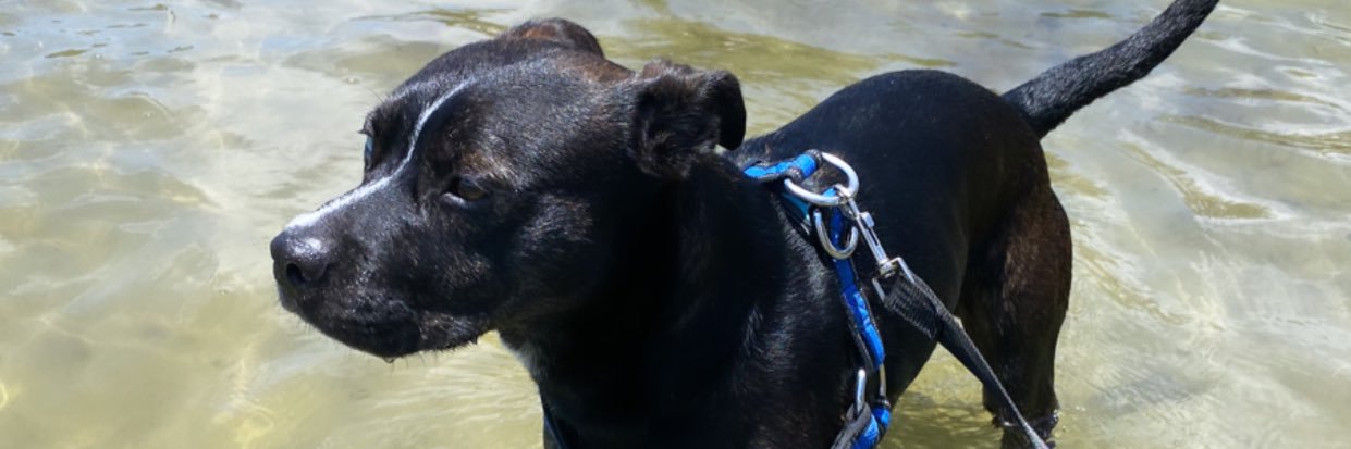jdgrfld's profile banner image