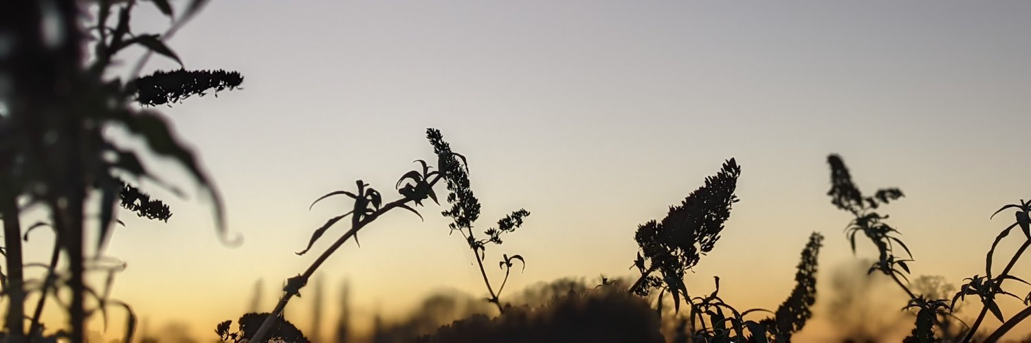 Jay Springett banner
