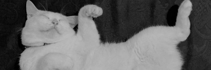 andiazirpp's profile banner image