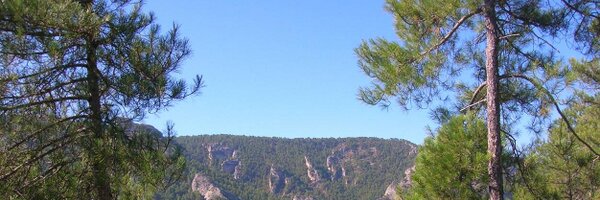 mb234987 Profile Banner