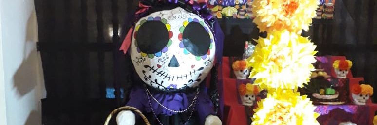sheccidd_p's profile banner image