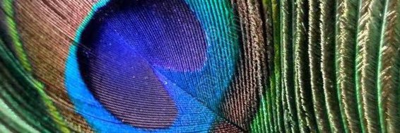 JD_108's profile banner image