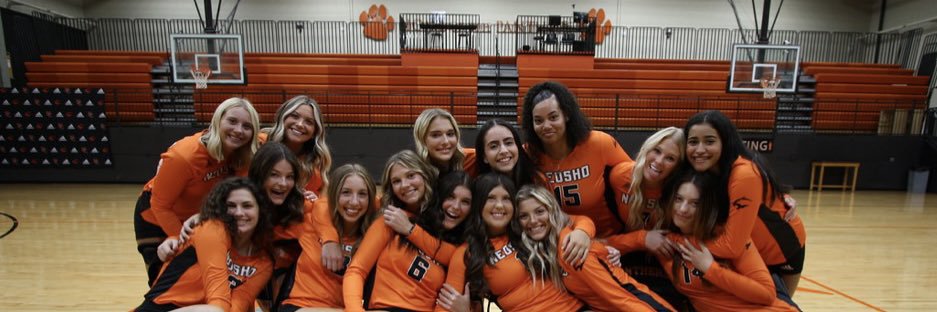 Neosho Volleyball banner