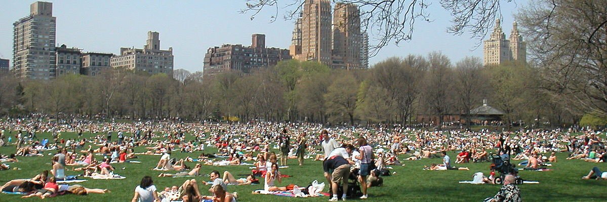 Upper East Side banner