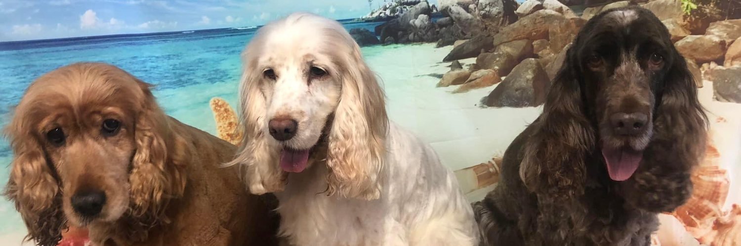 Pip Ostell 💙 banner