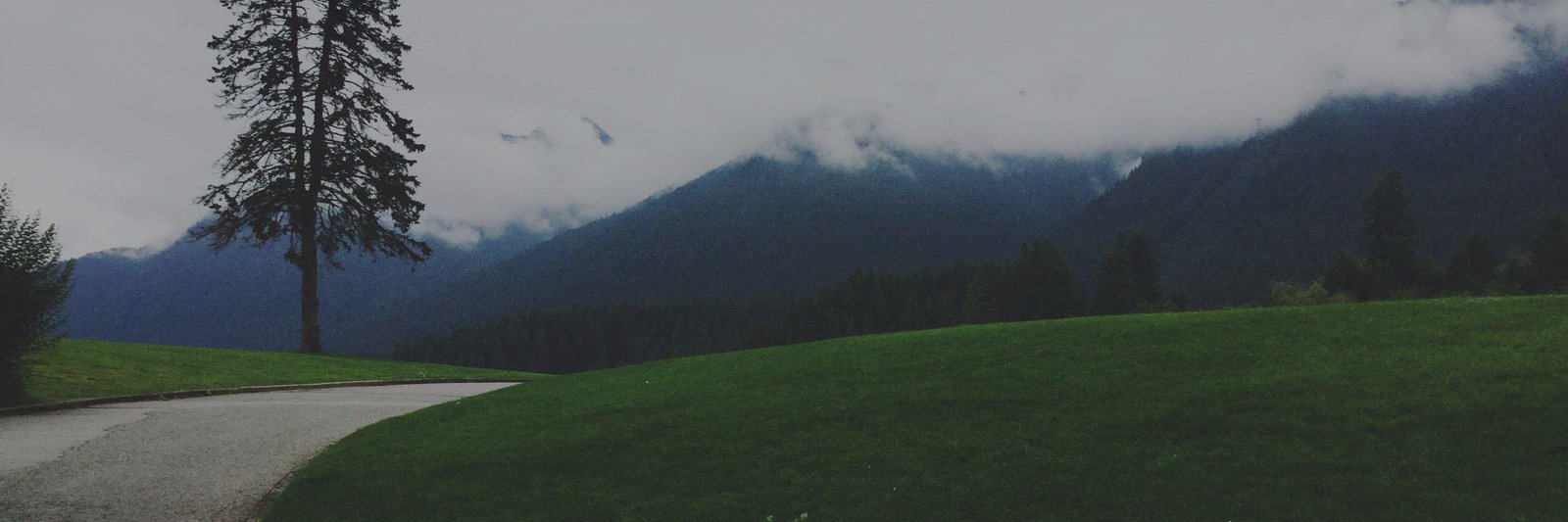 majicpixel's profile banner image
