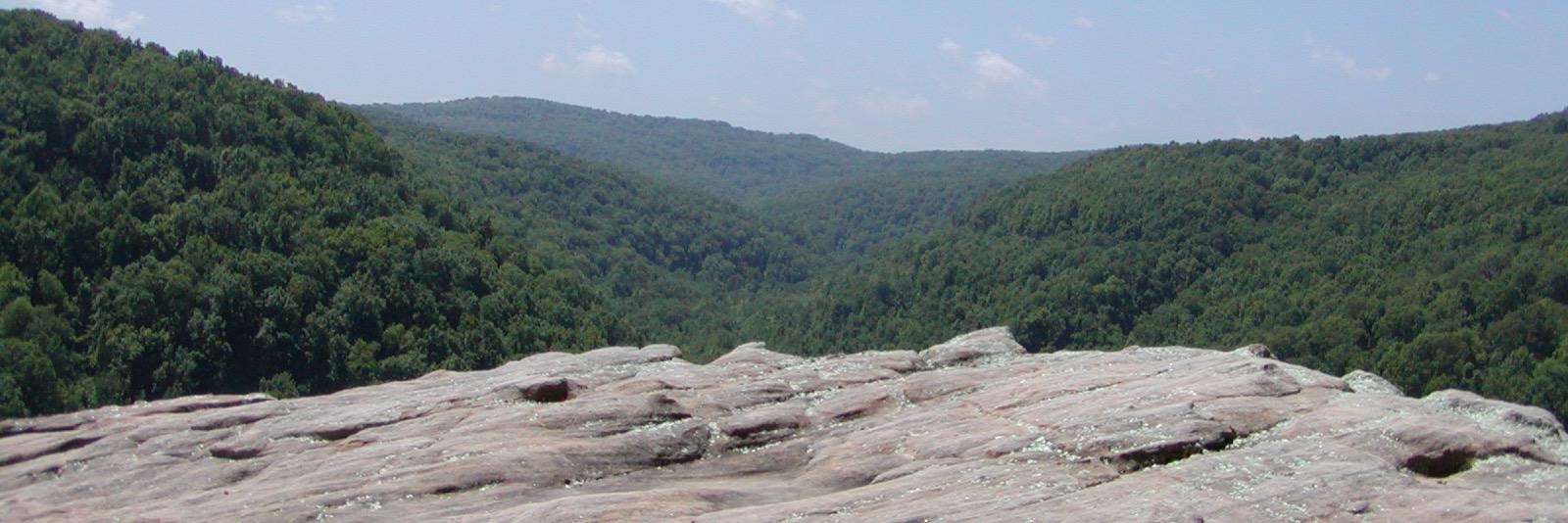 MarKimbrough's profile banner image