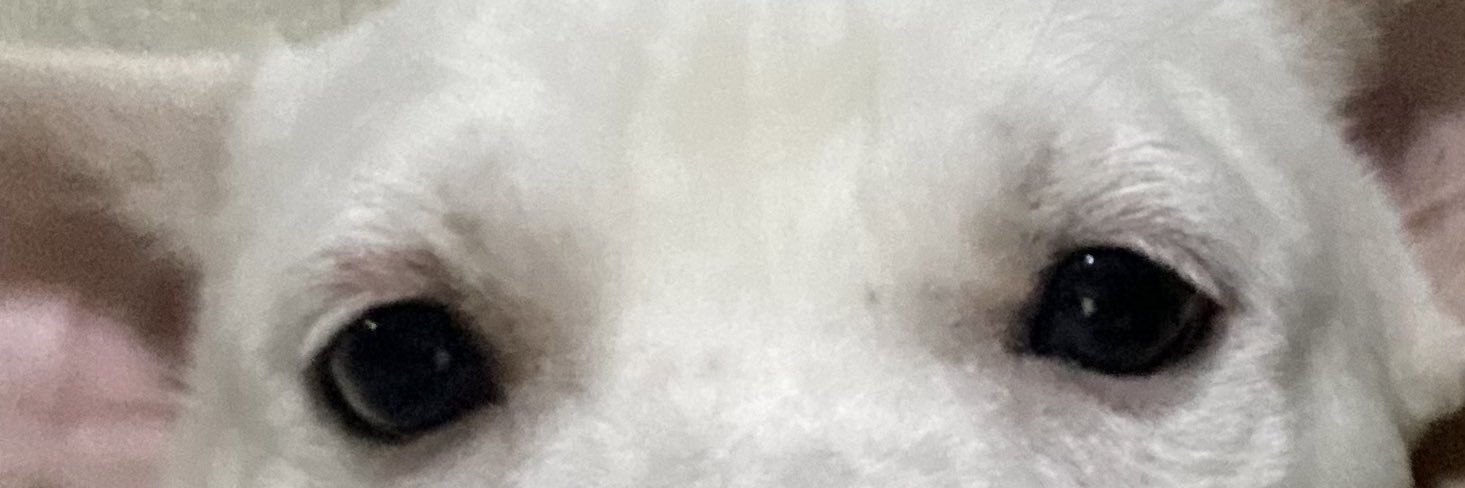 Jasperordo's profile banner image