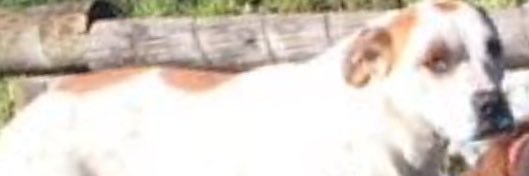 Jorge Quicker banner