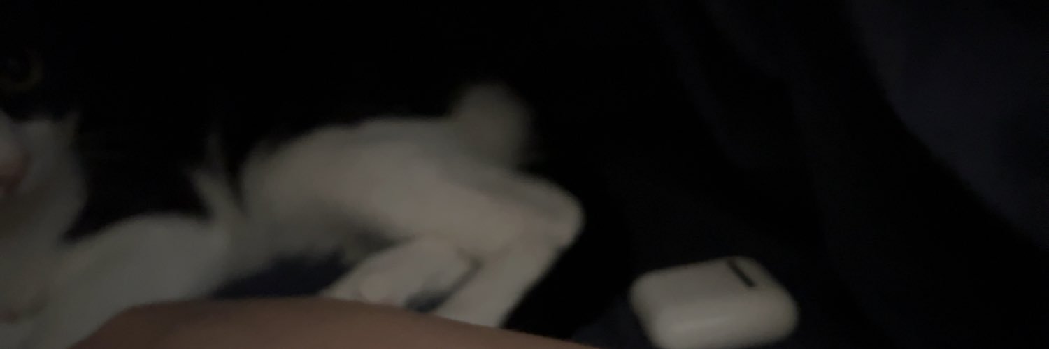 あむ banner