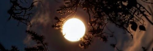 _albanay's profile banner image