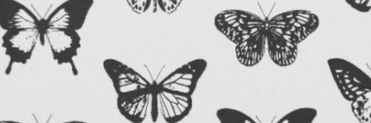 K1ANAX's profile banner image