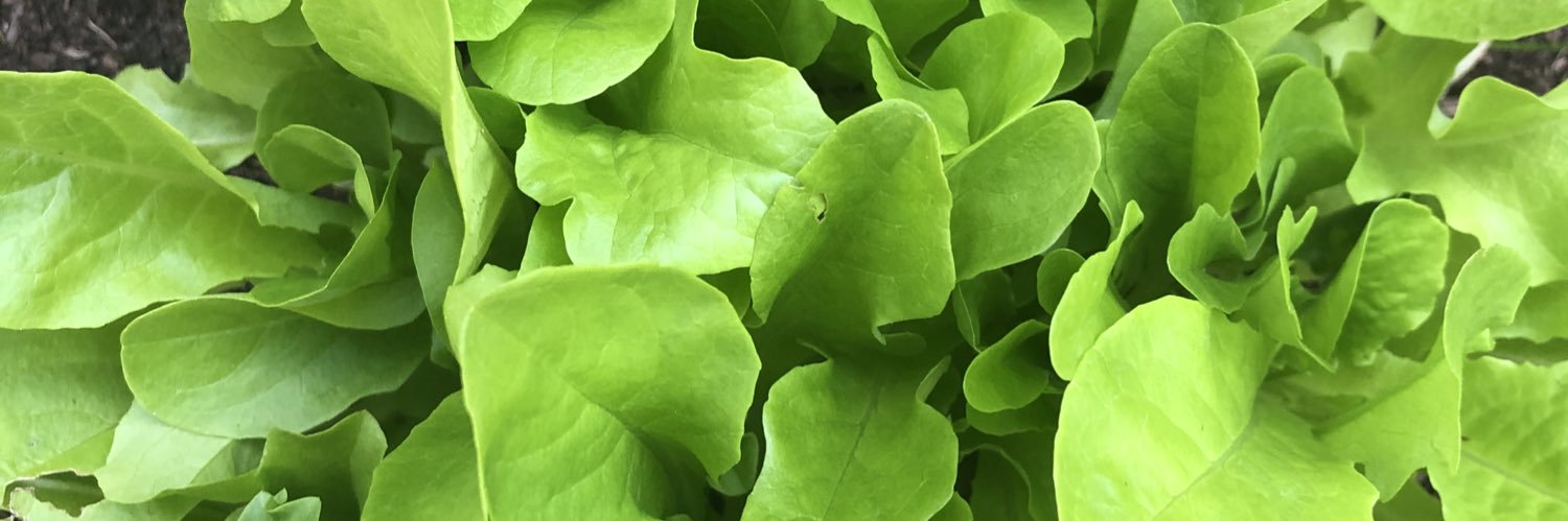 Fernand DENIS banner