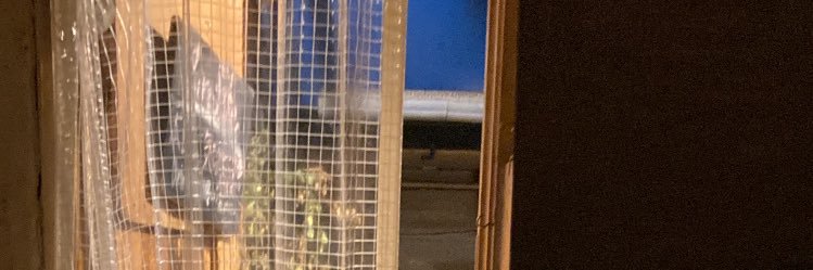 時めき ねね banner