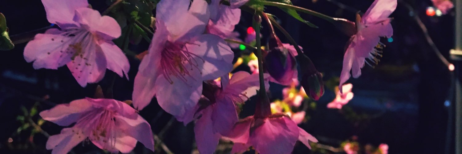 SHIMANeeeee's profile banner image
