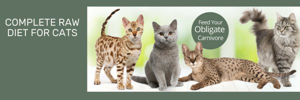 PurrformCatFood Profile Banner