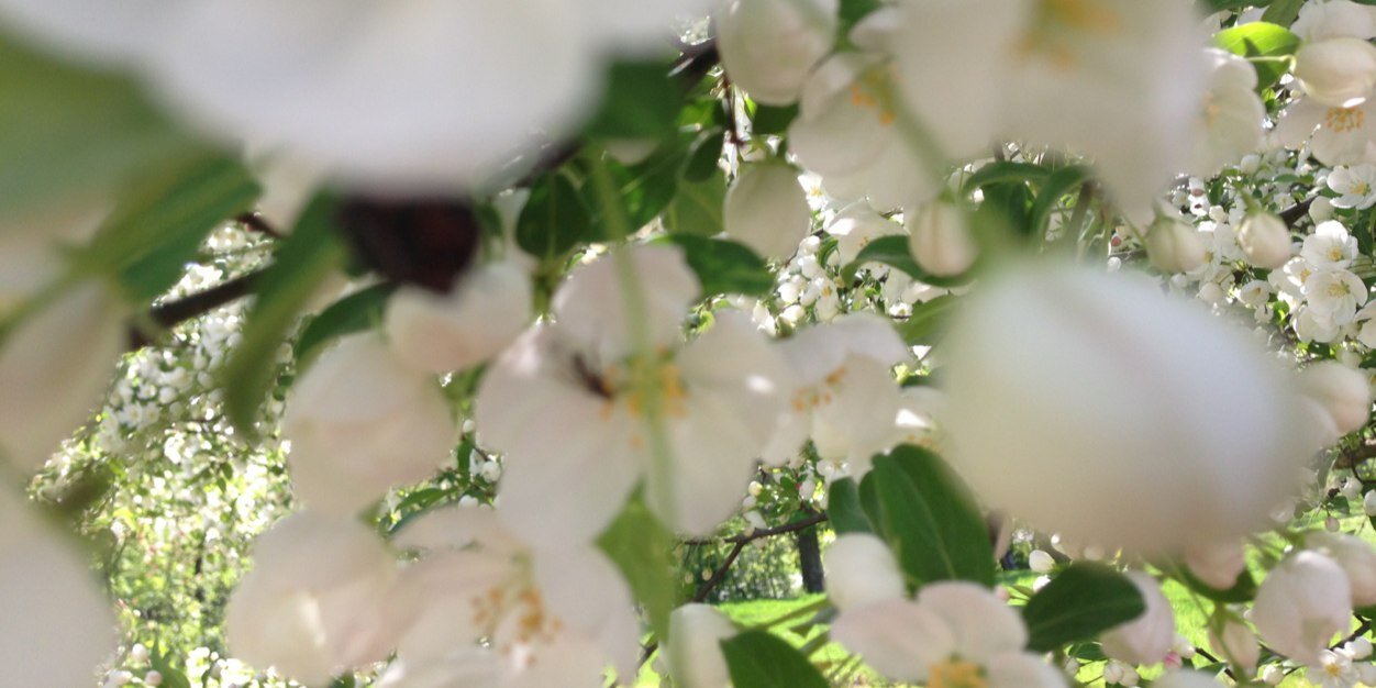 maryrowley12's profile banner image