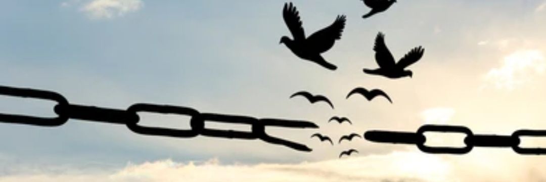 yasinalide's profile banner image