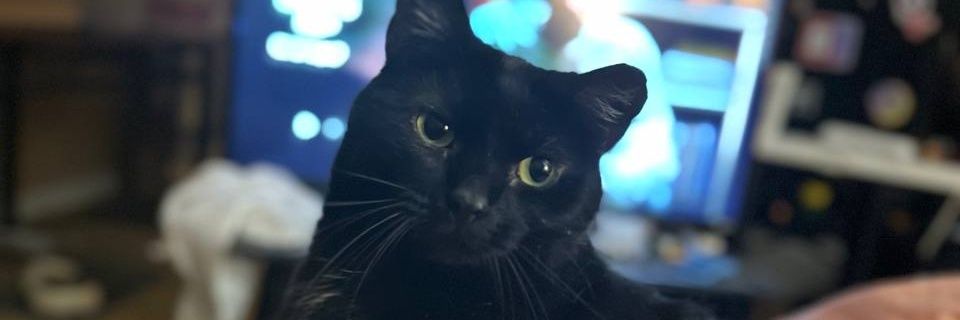 koldleblue's profile banner image