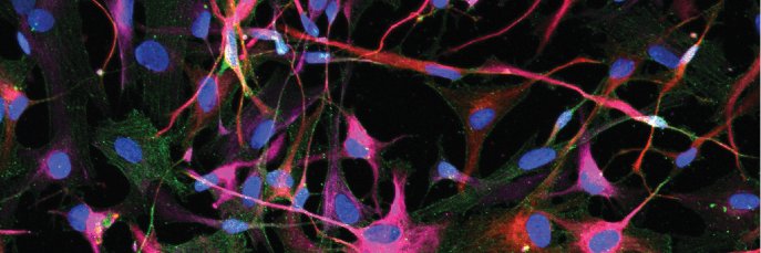 Edoardo Marcora banner