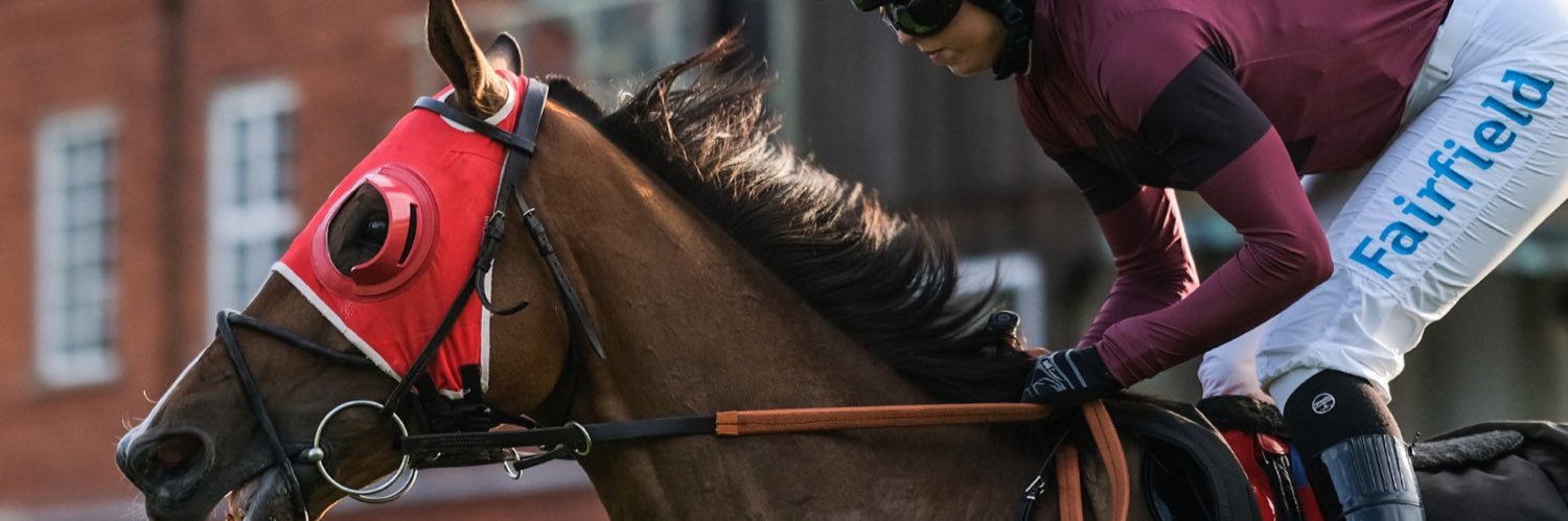 grace mcentee banner