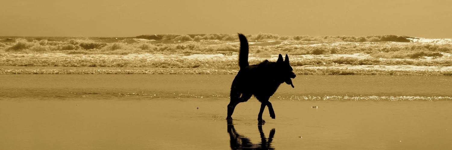 GSGSRescue's profile banner image