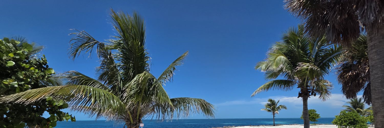 Jeff Ward 🇺🇲 banner