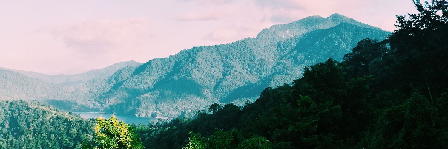 lisajessamy's profile banner image