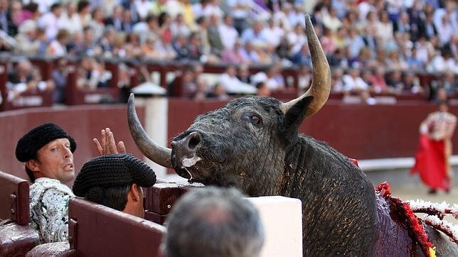 Jesus Talavan banner