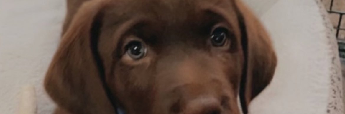 Isaac_Johnson3's profile banner image