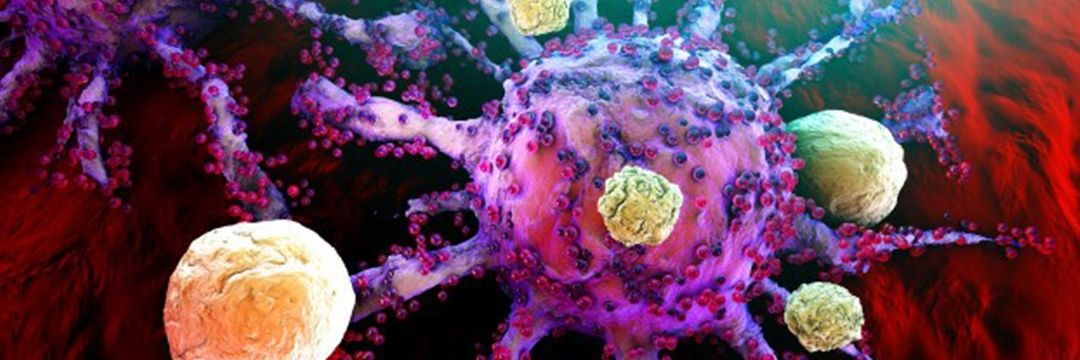 immunofighters's profile banner image