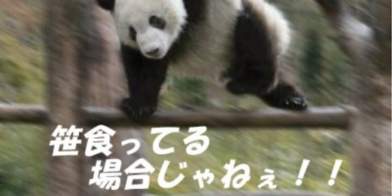 mogu's profile banner image