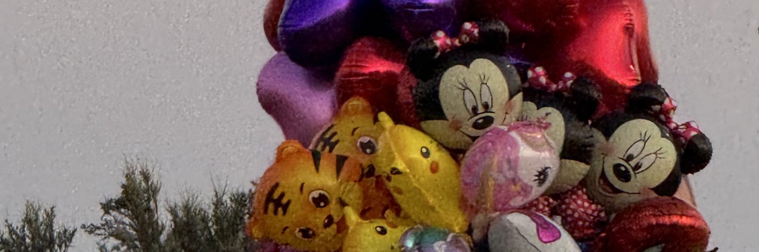 slniless's profile banner image