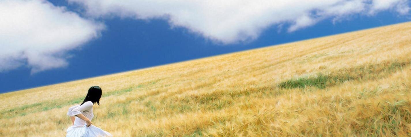 fireshort's profile banner image