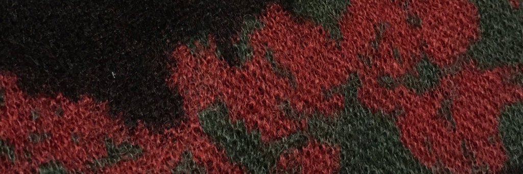 TINY DINOSAUR banner