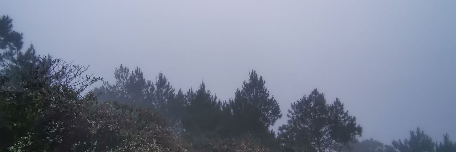 tsarlin's profile banner image