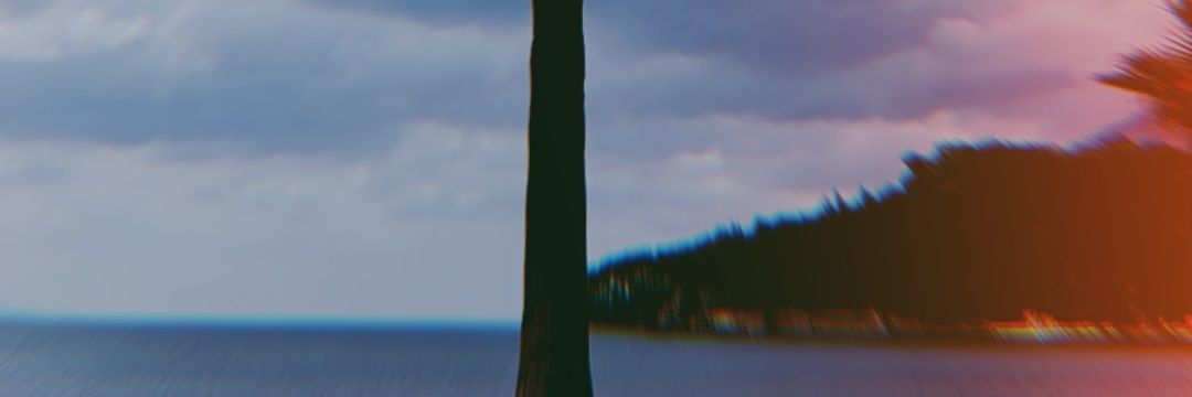 dilbereki's profile banner image