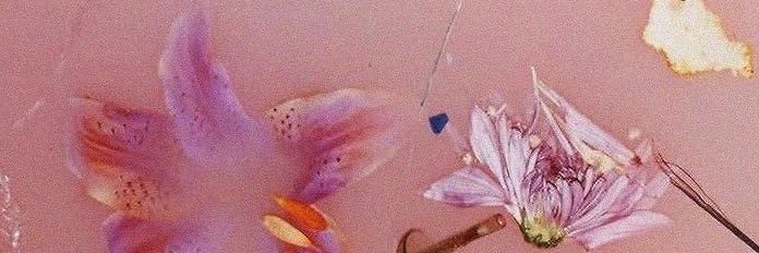 jaeadoreyou's profile banner image