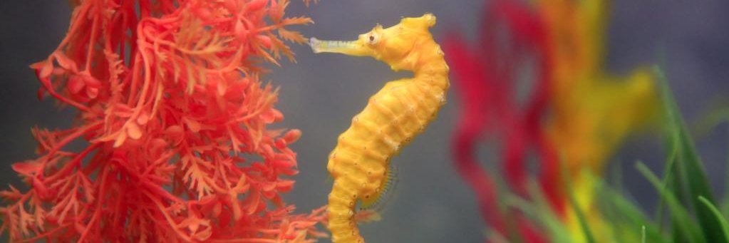 MARGARITA7🌅💗 banner