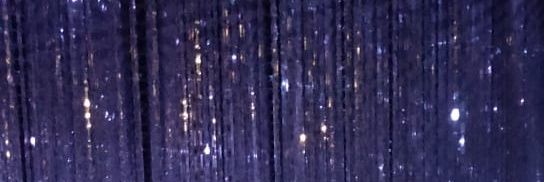 Arpana Gvalani banner