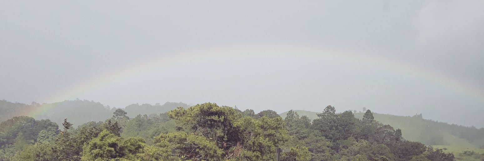 babylila's profile banner image