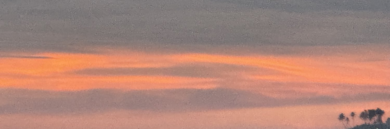 4melt_down2's profile banner image