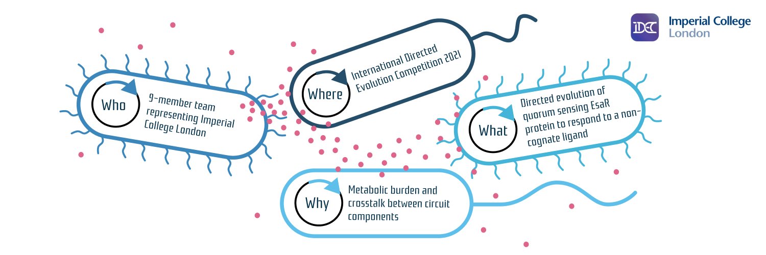 Imperial iDEC Team banner