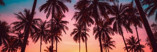 Dr. Anna Lim 🍉 banner