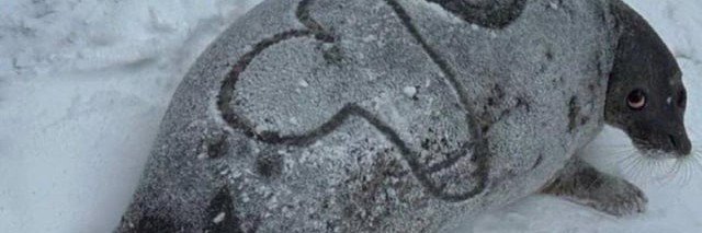 Rotund_Dumpling's profile banner image
