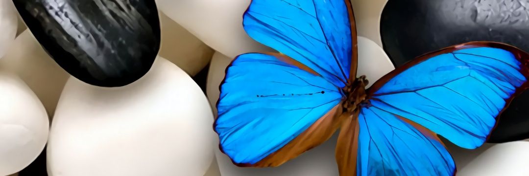 WellBody_Mind's profile banner image