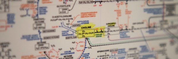 TrujilloLab_NRI Profile Banner