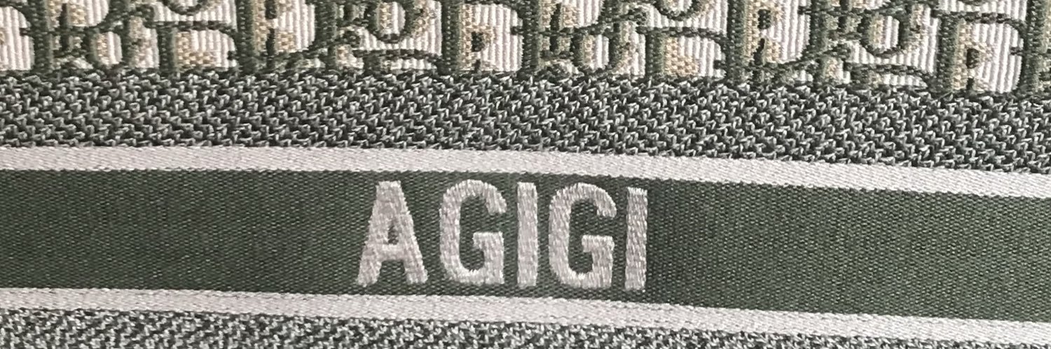 agigi banner