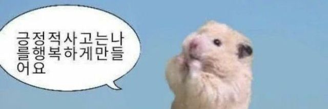 유우 시나리오 배포계 banner