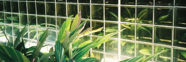 kauljade Profile Banner